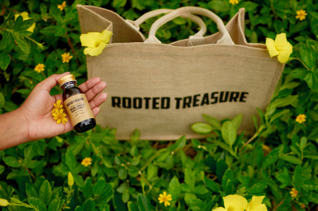 Jamaican Black Castor Oil : Organic Farming l Rooted Treasure